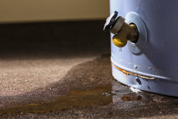 Best Professional water damage repair  in Wellington, OH