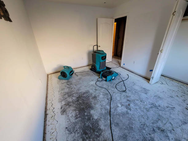 Best Emergency water damage restoration  in Wellington, OH