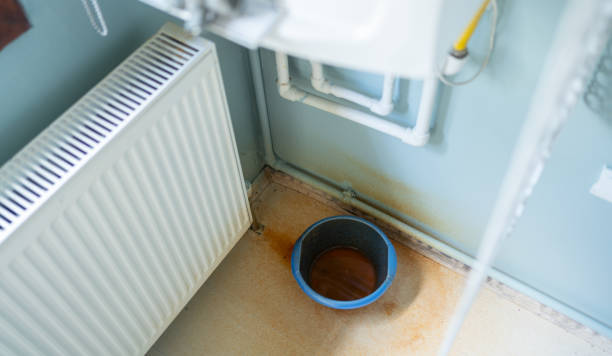 Best Water damage restoration mold remediation  in Wellington, OH