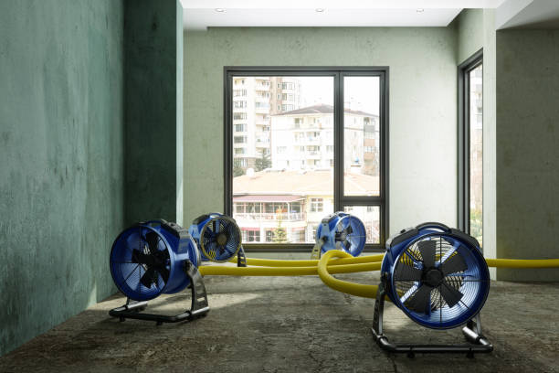 Best Local water damage restoration  in Wellington, OH