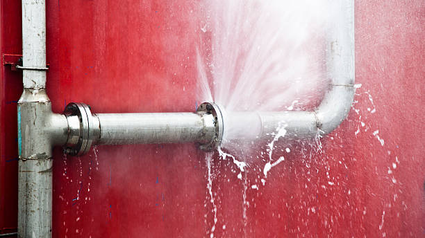 Best Carpet water damage restoration  in Wellington, OH